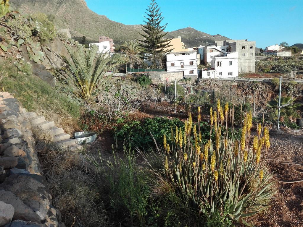 Ferienwohnung Finca Patio Canario Arona  Exterior foto